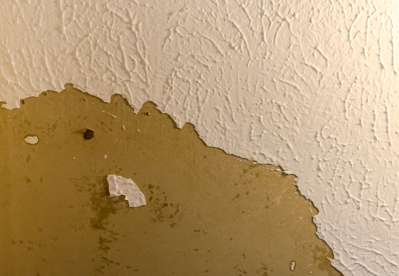 How To Seal Walls After Removing Wallpaper  ThemeBin